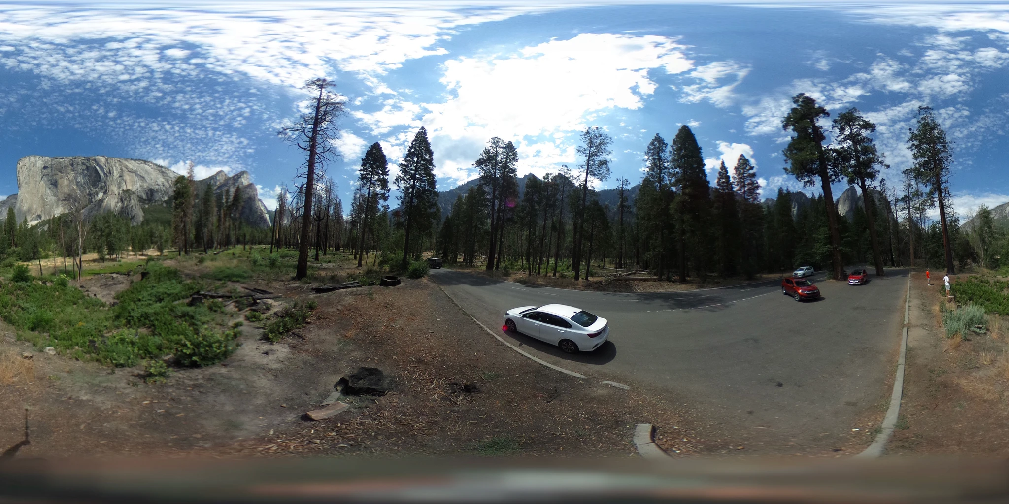 A panoramic street-view frame of a forest road below mountain cliffs